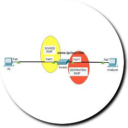 local-span-packet-tracer-ipcisco