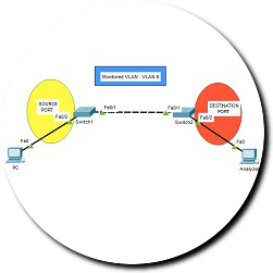remote-span-packet-tracer-ipcisco